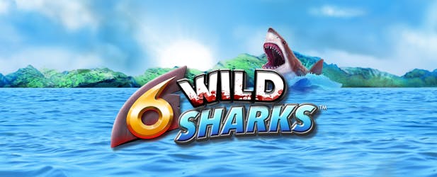 6 Wild Sharks