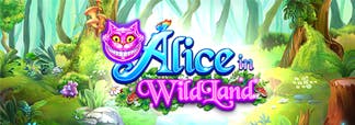 Alice in Wild Land