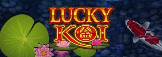 Lucky koi